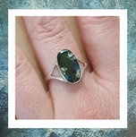 asring-assieraad voor dierenara-veertjes-as-papagaai