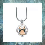 asballetje-as-in-glas-bedel-zilveren-wisselhanger-haar-in-hars