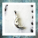 assieraden-sieraden-met-asbestemming-maan-zilver