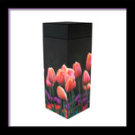 verstrooibuis-verstrooibus-strooikoker-verstrooikoker-strooibus-asverstrooiing-eco-urn-strooibuis-as-verstrooien-uitstrooien-tu