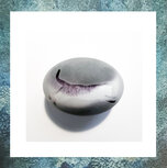 as-in-glas-glasreliek-pebble-knuffelsteen-glasreliek-eeuwige-roos-zwart-wit-poes-springend