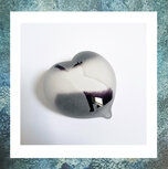 as in glazen hart-asverwerking in glas-eeuwige-roos-zwart-wit-poes-hart