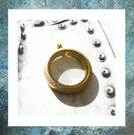 assieraden-medaillons-schroef-rvs-goudkleurig