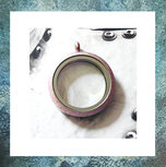 assieraden-medaillons-schroef-rvs-goudkleurig