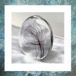 staande-schijf-glasreliek-as-in-glas-haar-haarlok-disk