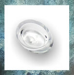 as-in-glas-asverwerking in glas-pebble-U36PTR-glasreliek-eeuwige-roos