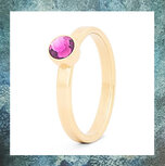 asring-stainless-steel-edelstaal-amethistkleurige-lichtpaarse-kristal-goudkleurig-zelf-vullen-TB-BI-RG-FEB