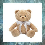 herinnering-kind-baby-beer-urn-teddybeer-knuffelbeer-knuffelurn