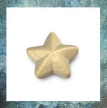 urn-sierurn-mini-urn-keepsake-hout-sterretje-gedenkobject