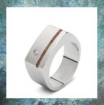assieraden-asring-asringen-RS010-as-in-sieraden-voor-mannen-juwelen-asbestemming-rvs