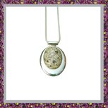 ashanger-assieraad-rvs-ovaal