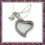 Hart Medaillon van zilverkleurig groot 14
