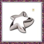 lovebirds-urn-sterretje--ster-messing-zilverkleur-loveurns