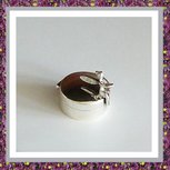 Mini Urn Elfje Zilver