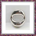 Assieraad Circel RVS