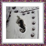 assieraden-sieraad-met-as-asjuweeltje-assieraad-ashanger-zeepaardje