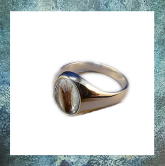 asring-haar-ring-haarlok-in-ring-juwelen-juweeltje-asbestemming-gedenksieraden-signet-zilver