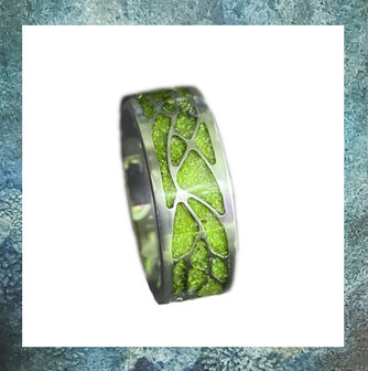asring-ring-met-asverwerking-asjuweel-mannen-heren-ring-blaadjes-titanium