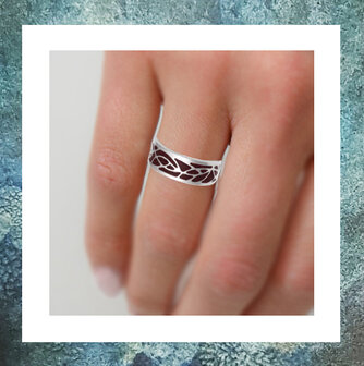 Asring Geometrie