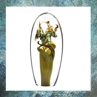 glasrelieken-glasreliek-levensboom-as-in-glas-meegeblazen-herinneringsgeschenk-gedenkgeschenk