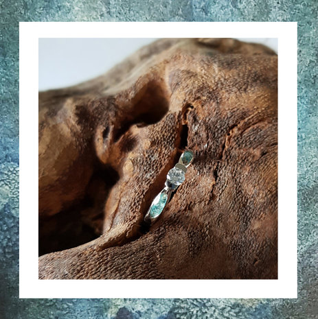 asring-ring met as-ring zilver voor as-damesring voor as