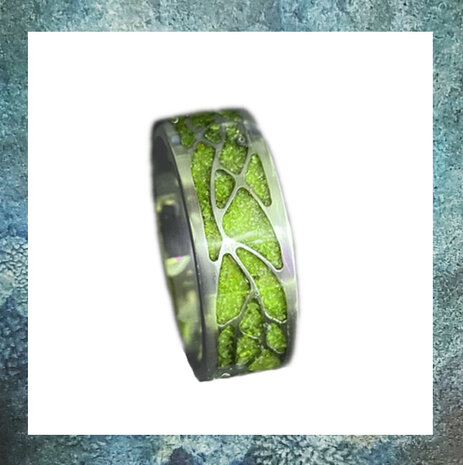 asring-ring-met-asverwerking-asjuweel-mannen-heren-ring-blaadjes-titanium
