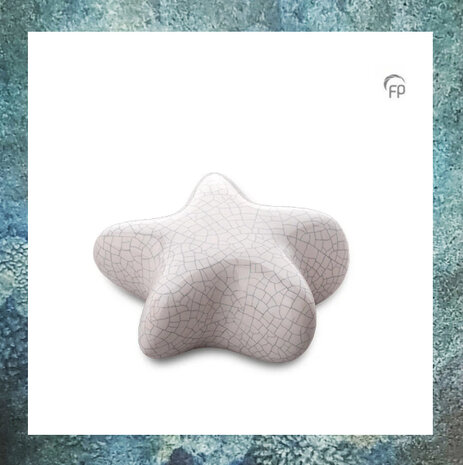 ster-sterretje-urn-keramiek-keepsake-FPU 067-krakele-wit-glanzend