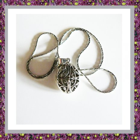 Medaillon Sterling Zilver Ovaal
